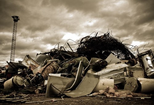 Professional team performing site clearance