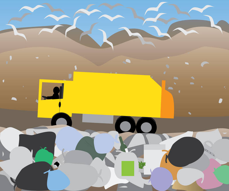 Reclaim Your Living Space With Clutter Removal and Hoarder Clean Up Solutions